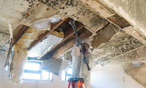 Best Commercial Mold Inspection  in Milwaukee, WI